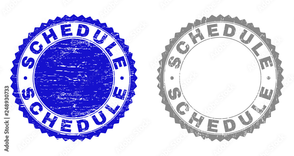 Obraz premium Grunge SCHEDULE stamps isolated on a white background. Rosette seals with grunge texture in blue and gray colors. Vector rubber watermark of SCHEDULE label inside round rosette.