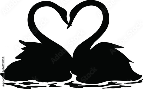 A pair of swans swimming together in a lake, black and white illustration, Valentine's day, 14 February