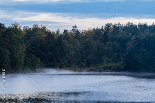 Morgenstimmung am See in Schweden mit Nebel