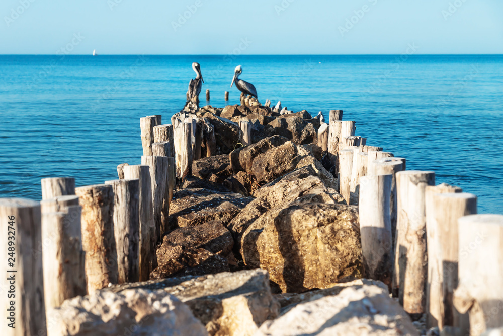 Pelicans out of focus at the end of a stone pier with blue ocean water around, Chelem, Mexico