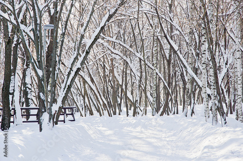 street lamp, snowdrifts and trees under the snow