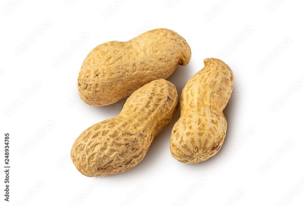 Peanuts isolated on white background.