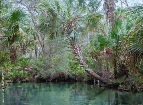 Juniper Springs Creek, Florida