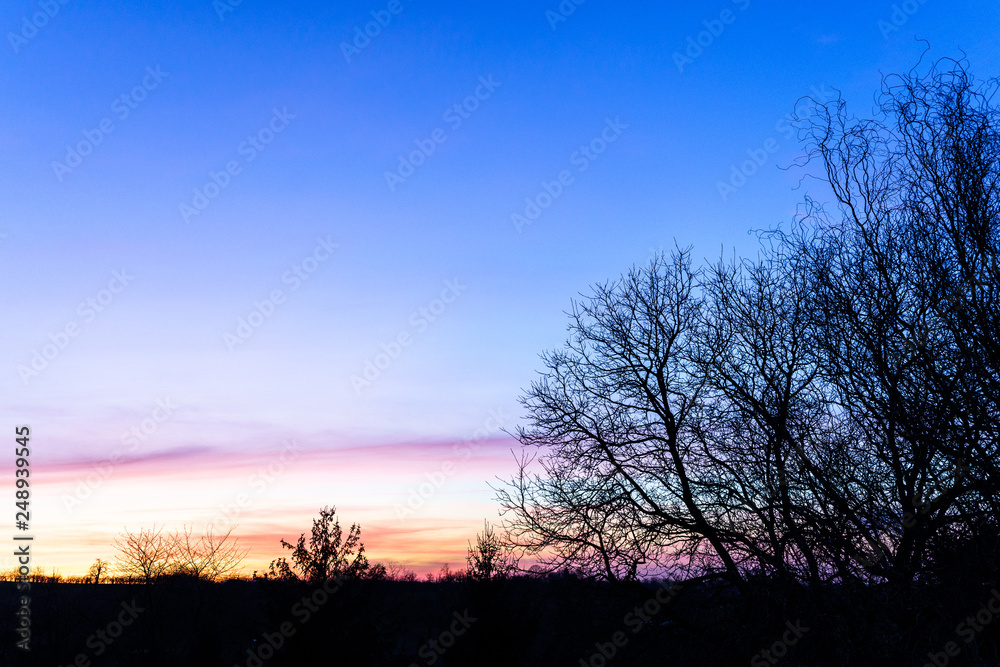 Sonnenuntergang mit Baum Sonnenuntergang mit Baum