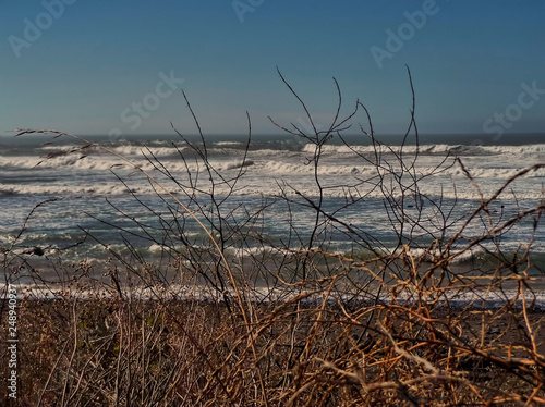 Lost Coast of Mendocino