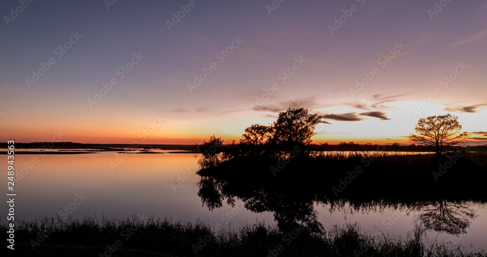 gorgeous skies at dusk in the wetlands