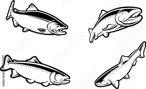 Trout and Salmon