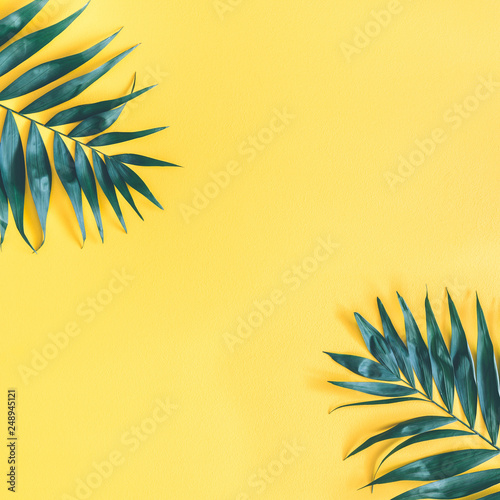 Summer composition. Tropical palm leaf on yellow background. Summer concept. Flat lay, top view, copy space, square