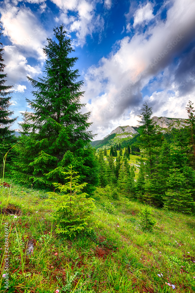 View of Pietrele Albe mountaine peak at summer time. Majestic sunset View of Pietrele Albe mountaine peak at summer time. Majestic sunset