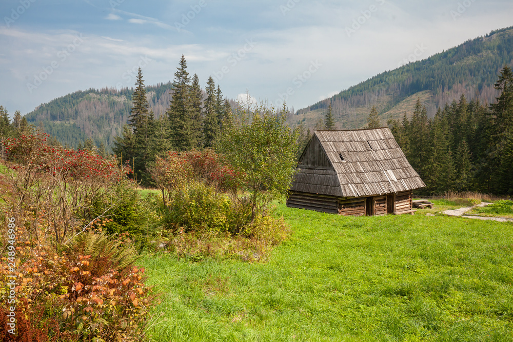 Wooden thatch over mountains walkway scenery