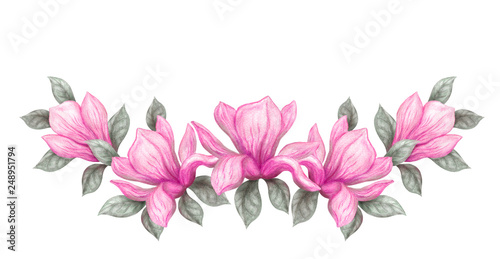 Fototapeta Naklejka Na Ścianę i Meble -  Hand drawn painting watercolor pencils and paints pink magnolia flowers isolated on white background