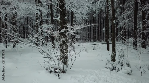 Beautiful Aerial View Winter Forest Vogelsberg Germany photo