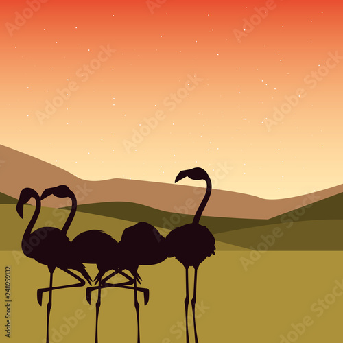 silhuette flamingos in the landscape