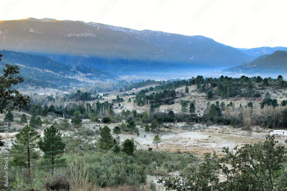 Obraz premium Mountain landscape with green vegetation in winter