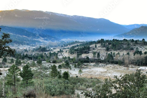 Mountain landscape with green vegetation in winter