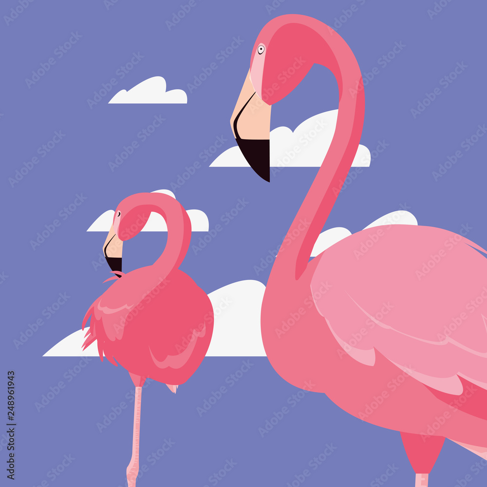 Naklejka premium flamingos exotic birds