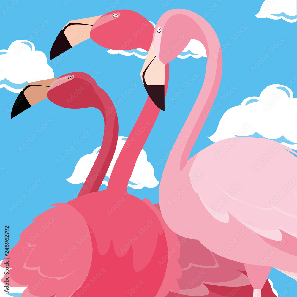 Naklejka premium flamingos exotic birds