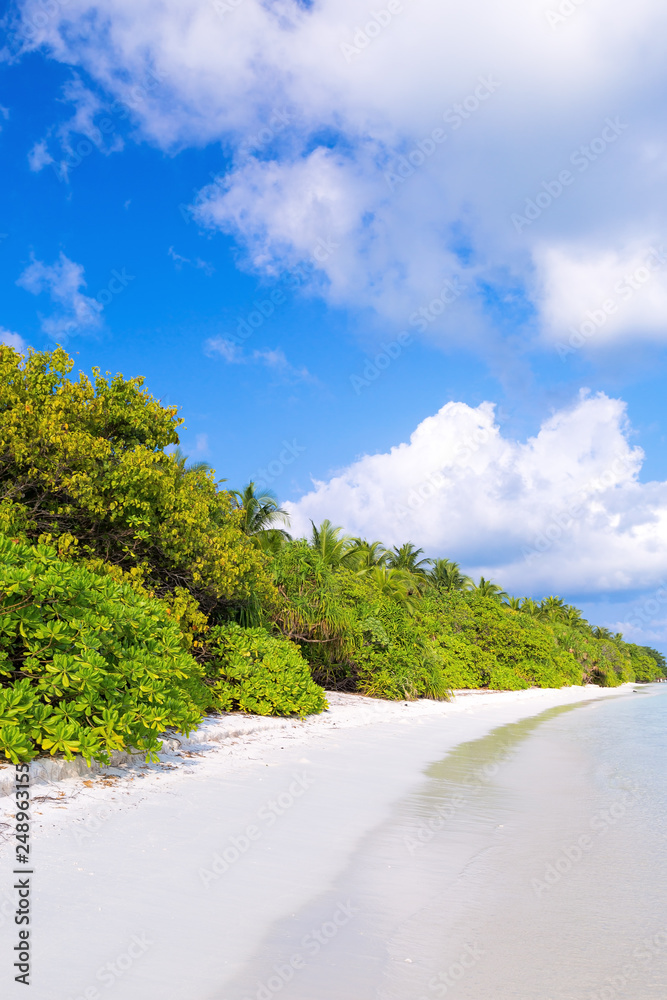 Fototapeta premium Tropical island with pristine beach and calm sea water