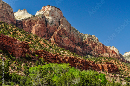 A Sandstone Ridge Covered in Ponderosa Pines and Sagebrush Located in Zion National Park of Utah
