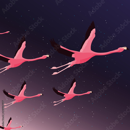 cute flamingos flying