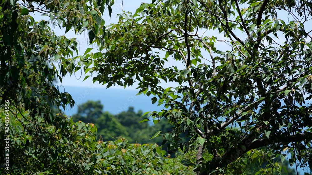Thailand Urlaub Thailand Urlaub