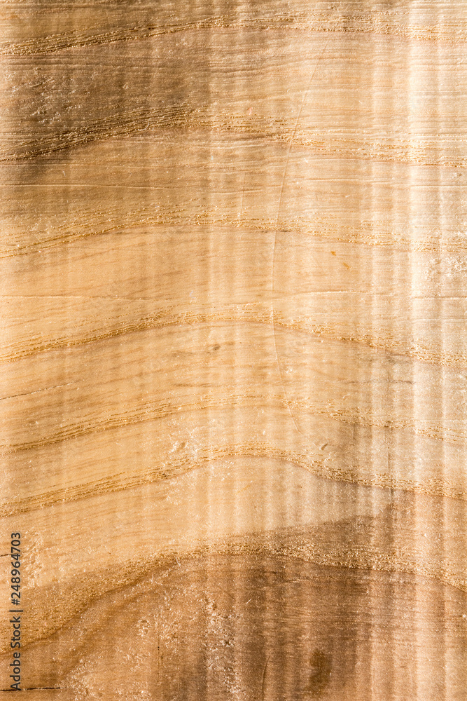 embossed wood texture with wavy lines and wood fibers embossed wood texture with wavy lines and wood fibers