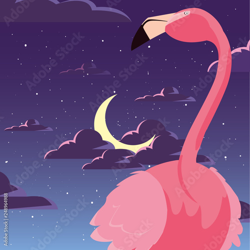 flamingo bird in the night