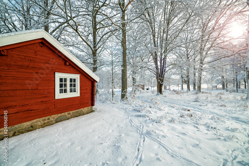 Swedish winter scenery in sunny morning © Piotr Wawrzyniuk