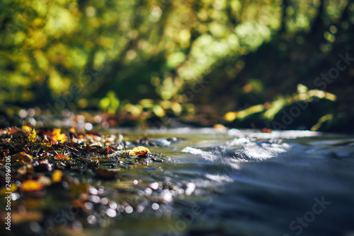 Obraz na płótnie Long exposure of a river creek with a small waterfall