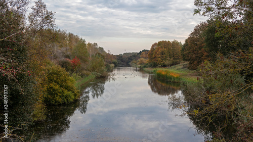 Fototapeta Naklejka Na Ścianę i Meble -  beautiful landscape with calm river and green trees at cloudy day