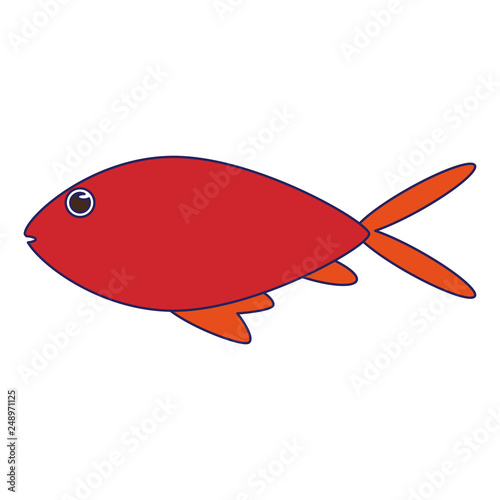 Fish sea animal cartoon