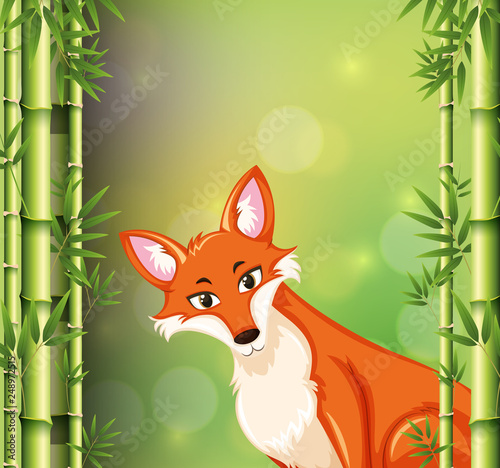 Fox on bamboo background