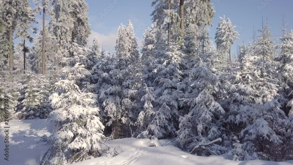 Beautiful Sunny Aerial View Winter Forest Vogelsberg Germany Beautiful Sunny Aerial View Winter Forest Vogelsberg Germany