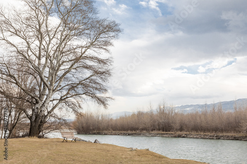 Wallpaper Mural Empty bench near a big old tree on the river coast. Uplistsikhe cave complex. Uplistsikhe. Georgia Torontodigital.ca
