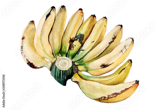 Banana photo