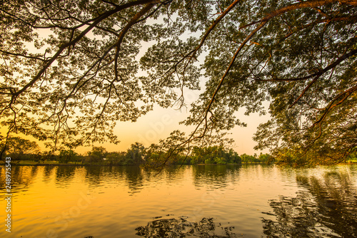 Evening in the Garden 3