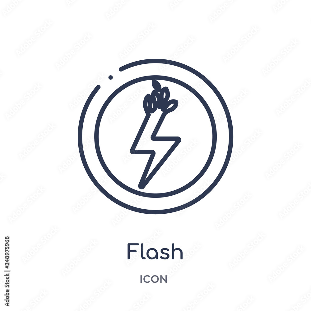 flash icon from technology outline collection. Thin line flash icon isolated on white background. flash icon from technology outline collection. Thin line flash icon isolated on white background.