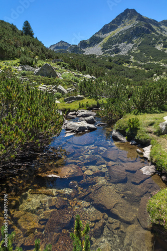 Summer landscape with Valyavitsa river and Valyavishki chukar peak, Pirin Mountain, Bulgaria photo