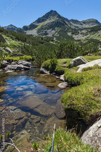 Summer landscape with Valyavitsa river and Valyavishki chukar peak, Pirin Mountain, Bulgaria photo