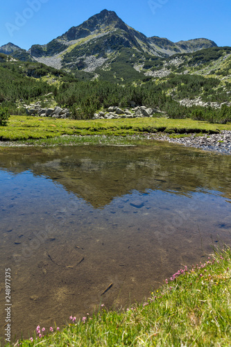 Summer landscape with Valyavitsa river and Valyavishki chukar peak, Pirin Mountain, Bulgaria photo