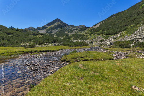 Summer landscape with Valyavitsa river and Valyavishki chukar peak  Pirin Mountain  Bulgaria