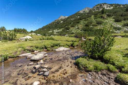 Summer landscape with Valyavitsa river and Valyavishki chukar peak, Pirin Mountain, Bulgaria photo