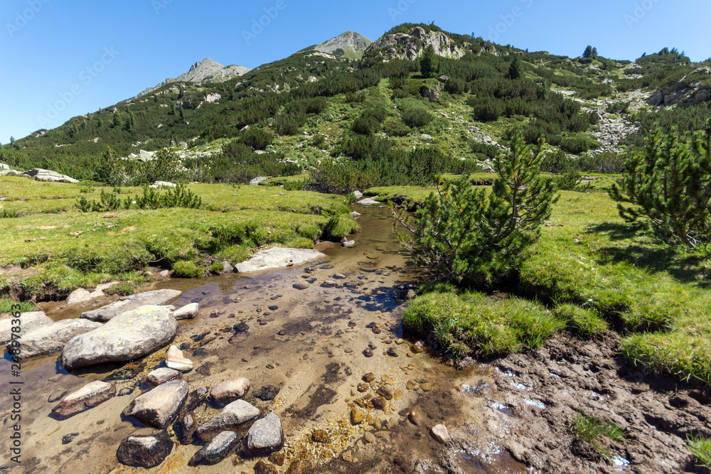 Obraz premium Summer landscape with Valyavitsa river and Valyavishki chukar peak, Pirin Mountain, Bulgaria
