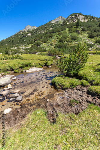 Summer landscape with Valyavitsa river and Valyavishki chukar peak, Pirin Mountain, Bulgaria photo