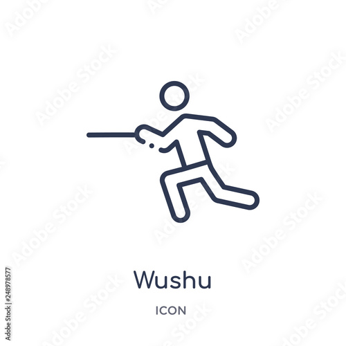 wushu icon from sports outline collection. Thin line wushu icon isolated on white background.