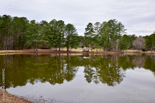 Tall Pine Trees reflect on water in Georgia pond