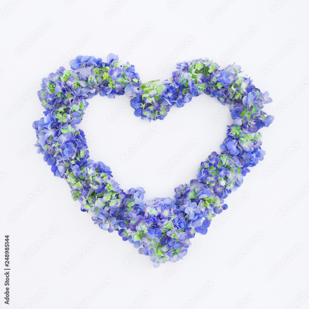 Heart symbol with blue hydrangea flowers on white background. Valentines day. Flat lay, top view.