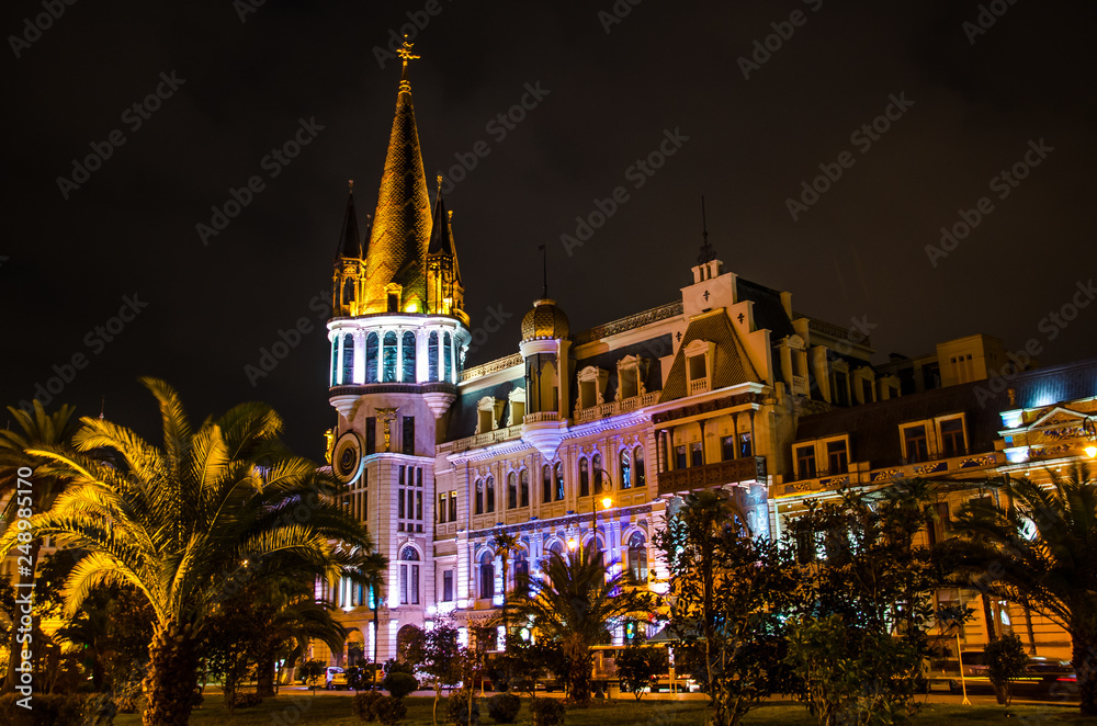 Night view of illuminated Batumi Astronomical Clock Tower building with palm tree