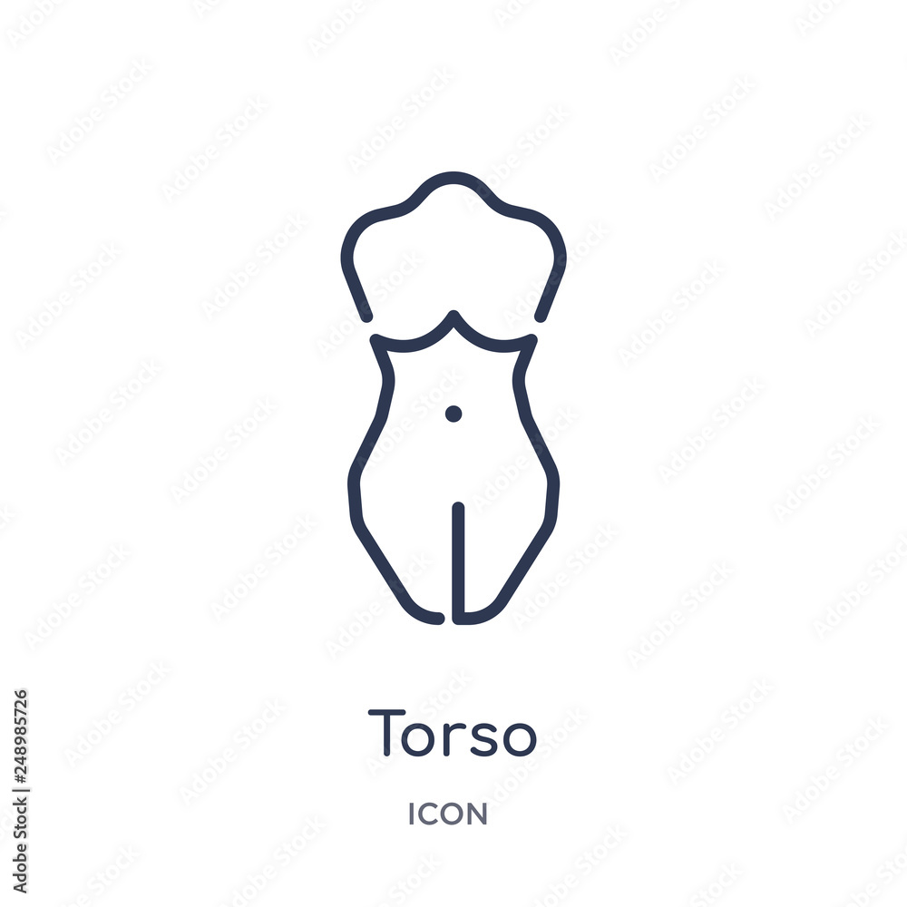 torso icon from people outline collection. Thin line torso icon isolated on white background.