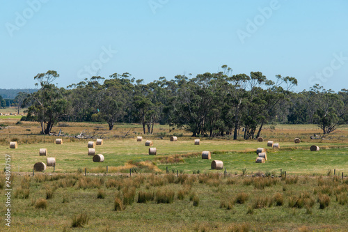 Roll of haystack in a grass field with clear blue sky.